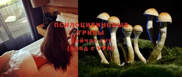 ПСИЛОЦИБИНОВЫЕ ГРИБЫ Ельня