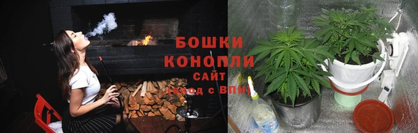 ПСИЛОЦИБИНОВЫЕ ГРИБЫ Ельня