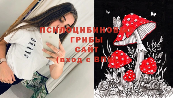 не бодяженный Елабуга