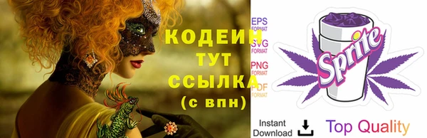 ПСИЛОЦИБИНОВЫЕ ГРИБЫ Ельня