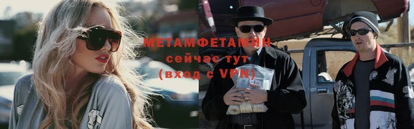 ПСИЛОЦИБИНОВЫЕ ГРИБЫ Ельня