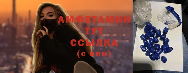 ПСИЛОЦИБИНОВЫЕ ГРИБЫ Ельня