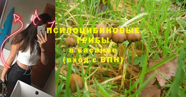 ПСИЛОЦИБИНОВЫЕ ГРИБЫ Ельня