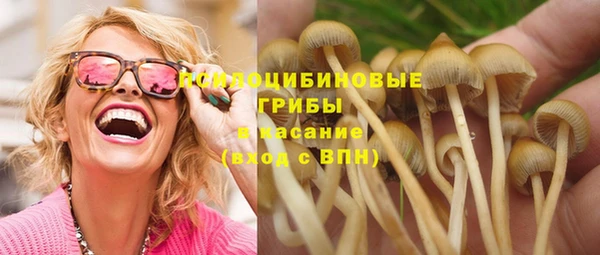 не бодяженный Елабуга